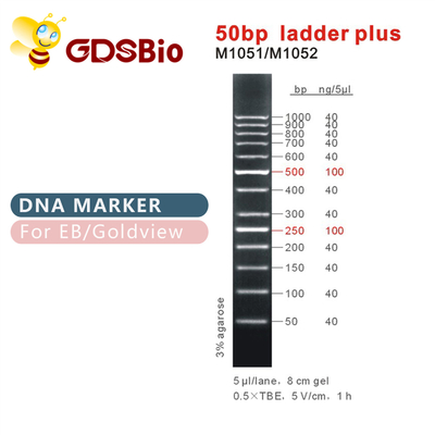 50bp लैडर प्लस डीएनए मार्कर M1051 (50μg)/M1052 (50μg×5)