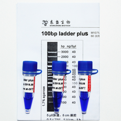 100bp लैडर प्लस डीएनए मार्कर M1071 (50μg)/M1072 (50μg×5)