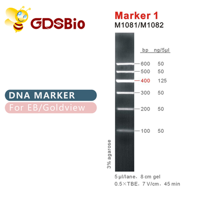 मार्कर 1 डीएनए सीढ़ी M1081 (50μg)/M1082 (50μg×5)