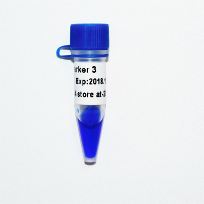 मार्कर 3 डीएनए सीढ़ी M1121 (50μg)/M1122 (5×50μg)