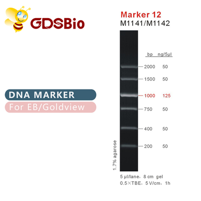 मार्कर 12 डीएनए सीढ़ी M1141 (50μg)/M1142 (5×50μg)