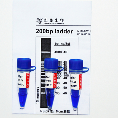 200bp लैडर डीएनए मार्कर M1151 (50μg)/M1152 (5×50μg)