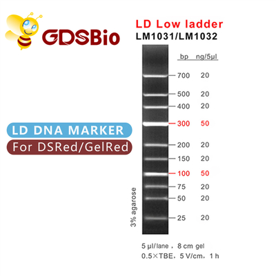 एलडी लो लैडर डीएनए मार्कर एलएम1031 (60 प्रीप्स)/एलएम1032 (60 प्रीप्स×3)