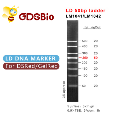 LM1041 GDSBio LD 50bp जेल इलेक्ट्रोफोरेसिस मार्कर सीढ़ी