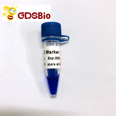नीला रूप एलडी मार्कर 1 डीएनए मार्कर वैद्युतकणसंचलन