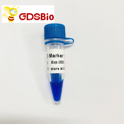 नीला रूप एलडी मार्कर 1 डीएनए मार्कर वैद्युतकणसंचलन