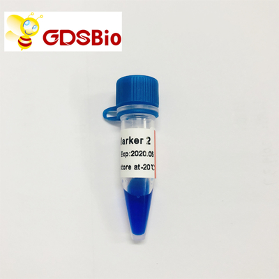 एलडी मार्कर 2 60 प्रेप्स डीएनए मार्कर इलेक्ट्रोफोरेसिस जीडीएसबीओ