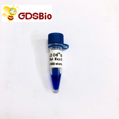 GDSBio LD DS 5000 DNA मार्कर इलेक्ट्रोफोरेसिस नीली उपस्थिति