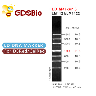 एलडी मार्कर 3 डीएनए लैडर इलेक्ट्रोफोरेसिस 60 प्रीप्स उच्च शुद्धता अभिकर्मक