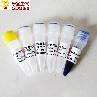 GDSBio उच्च गुणवत्ता Taq DNA पोलीमरेज़ P1014 1000U