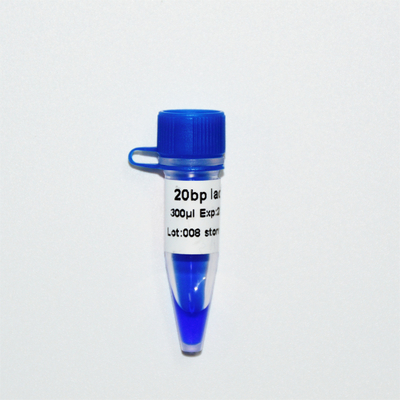 20बीपी लैडर डीएनए मार्कर इलेक्ट्रोफोरेसिस जीडीएसबीओ ब्लू उपस्थिति