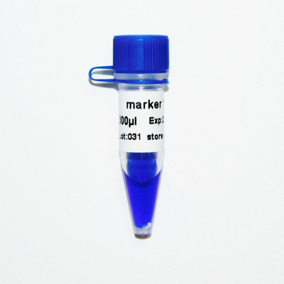 मार्कर 1 डीएनए मार्कर इलेक्ट्रोफोरेसिस 400बीपी 50यूजी नीला स्वरूप