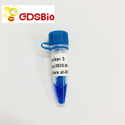 जीडीएसबीओ एलडी मार्कर 3 डीएनए मार्कर इलेक्ट्रोफोरेसिस 60 प्रेप्स