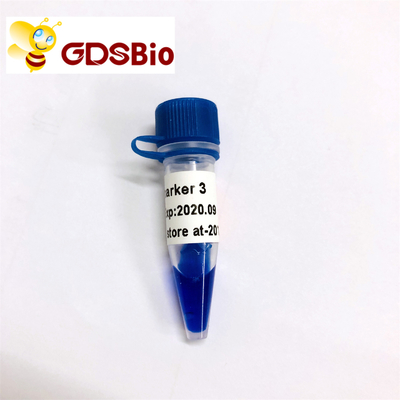 जीडीएसबीओ एलडी मार्कर 3 डीएनए मार्कर इलेक्ट्रोफोरेसिस 60 प्रेप्स