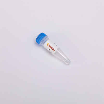 क्यूपीसीआर आर5001 1 यू/μL के लिए हीट लैबाइल एंटी कंटैमिनेशन यूडीजी एंजाइम आणविक जीवविज्ञान