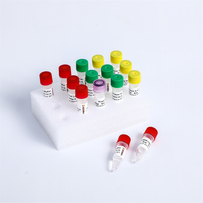 रंगहीन एनजीएस लाइब्रेरी कंस्ट्रक्शन फास्ट डीएनए तैयारी किट K001-A K001-B