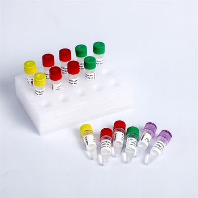 एमजीआई KM004-A, KM004-B के लिए उच्च गुणवत्ता वाला फास्ट डीएनए एनजीएस लाइब्रेरी प्लस तैयारी किट